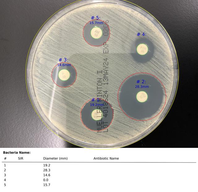 Sample Output for ZOI-Pro