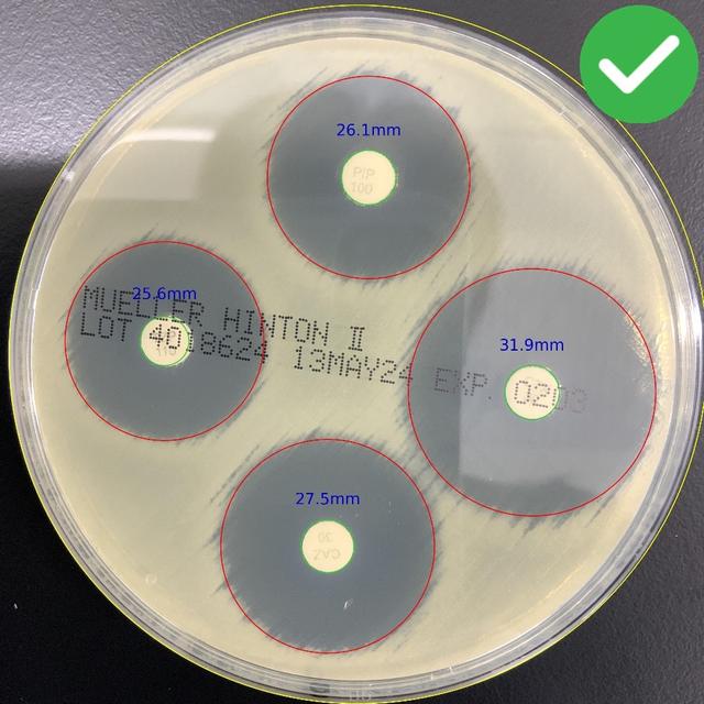 Dish Fully Captured