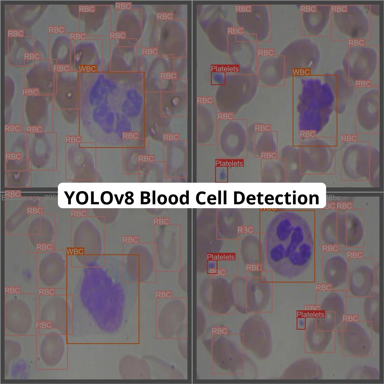 BLOOD_CELL_1 - Blood Cell 1.0 - Cell Detection BLOOD_CELL_1 logo