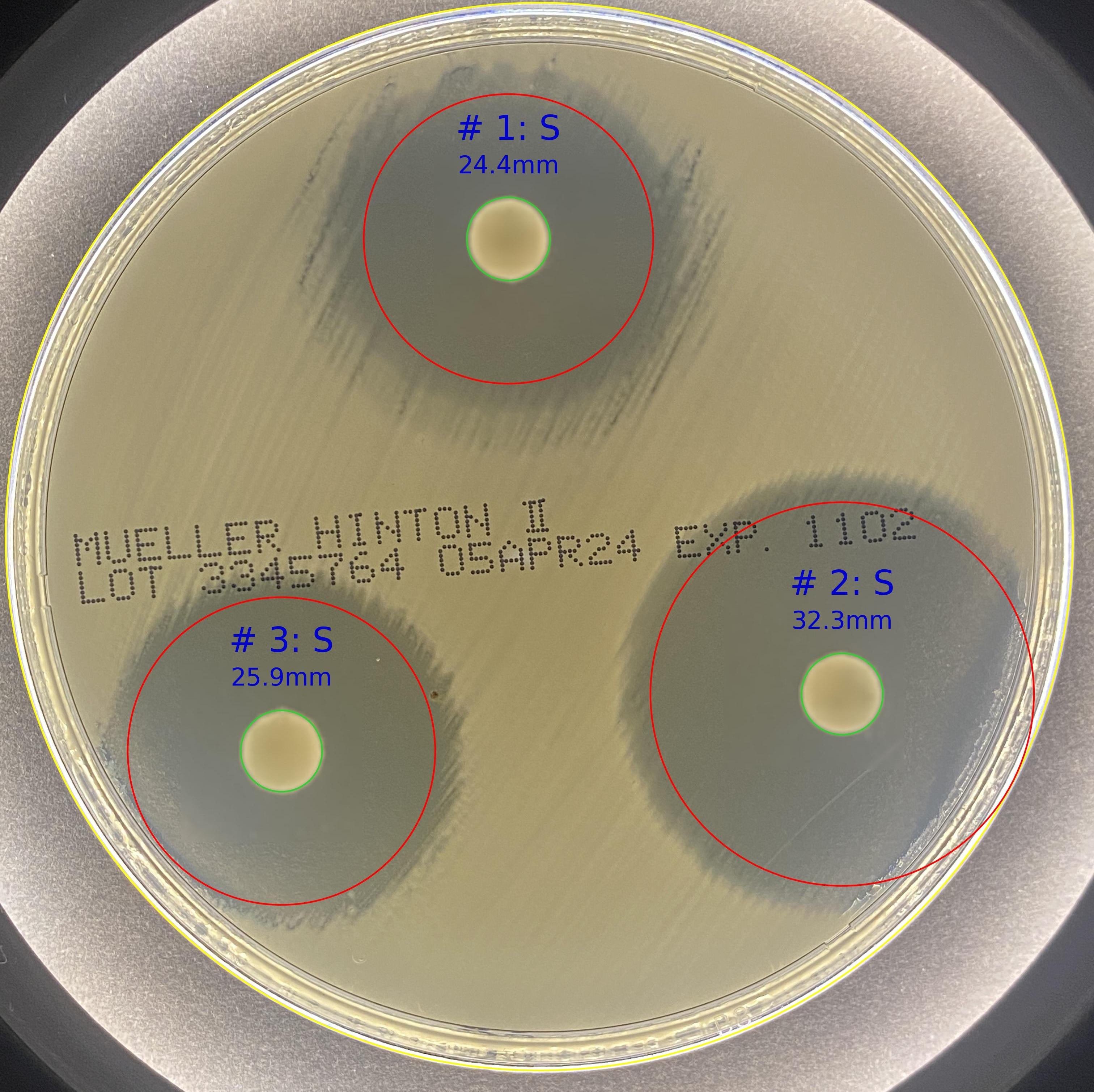 ZOI_VET - ZOI VET ZOI_VET logo