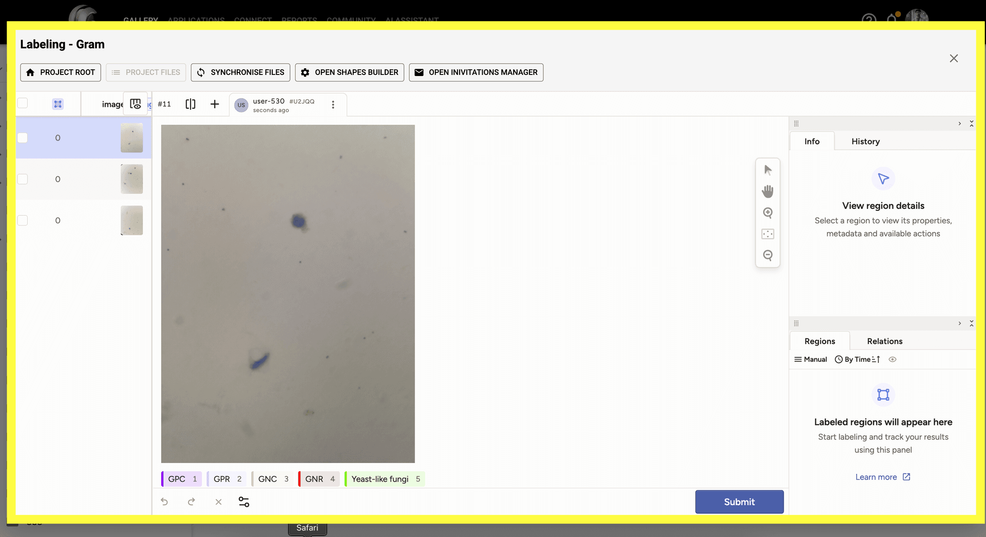 Step 3 image about Iniciando un Proyecto de Etiquetado tutorial Step 3: Se abrirá un modal de etiquetado, permitiéndote anotar imágenes directamente dentro de la interfaz usando tus formas y etiquetas configuradas.