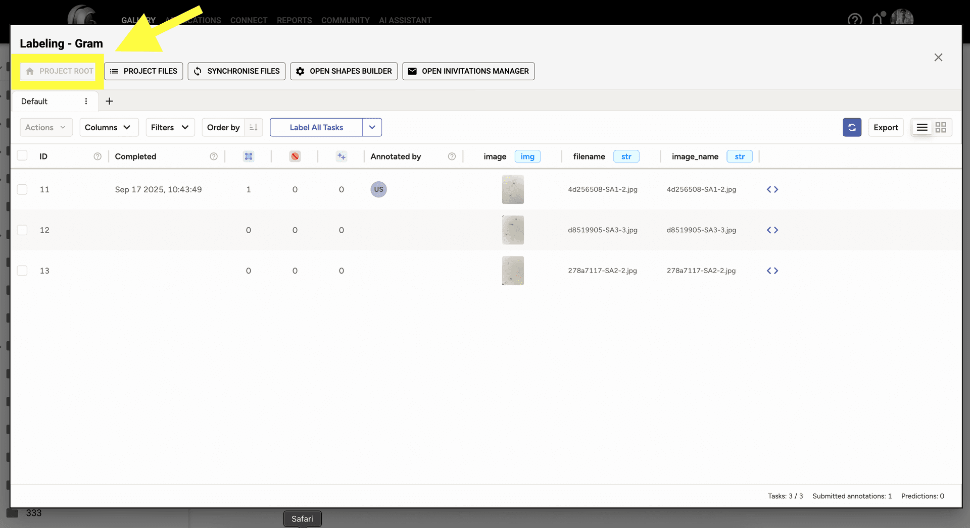Step 4 image about Iniciando un Proyecto de Etiquetado tutorial Step 4: Usa 'Raíz del Proyecto' para navegar a través de todas las imágenes en tu proyecto de etiquetado y rastrear tu progreso de anotación.